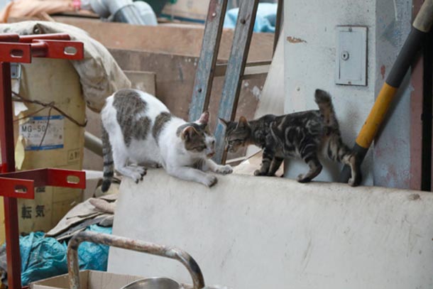 『鉄工島FES』代表・須田眞輝さんインタビュー 〜後編〜